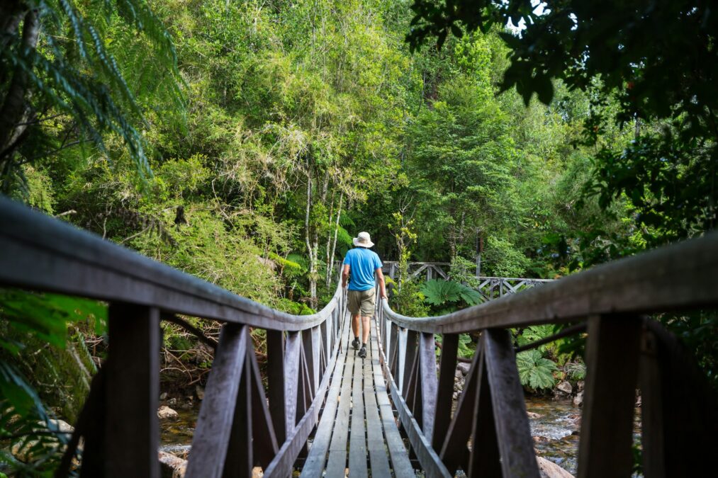 Bridge in hike